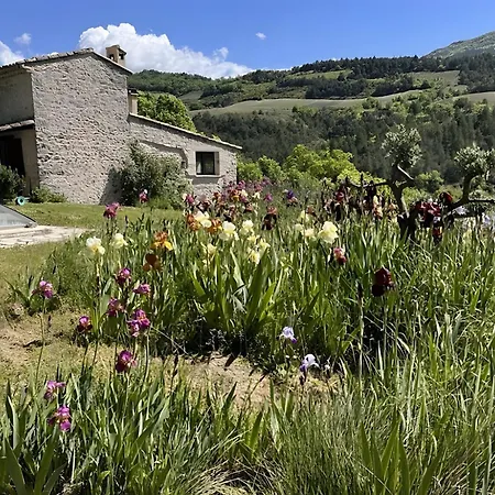 L'Oustalet Des Buissieres