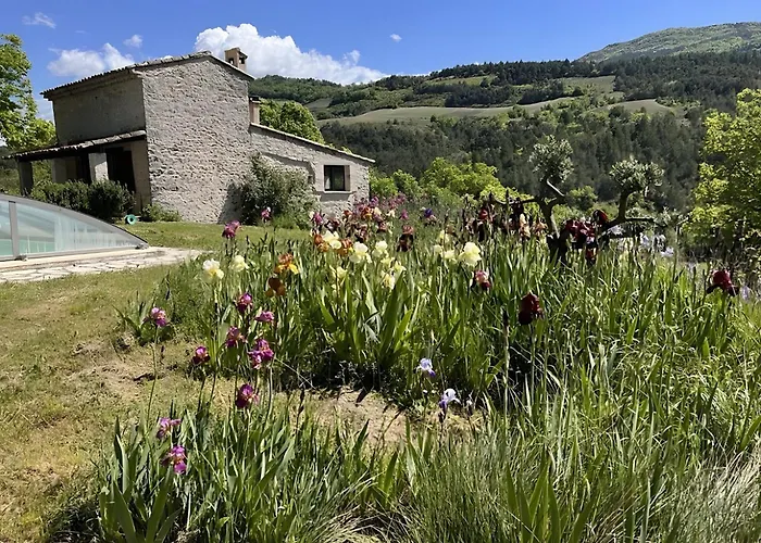 Mas En Pierre Holiday home *